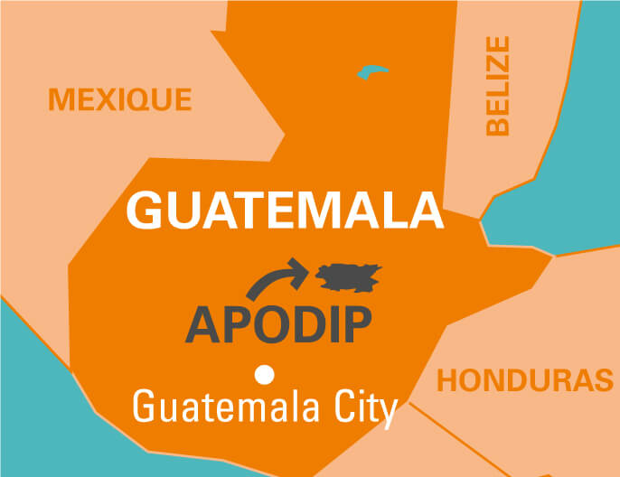 Carte coopÃ©rative APODIP au Guatemala - chocolat au lait 53%